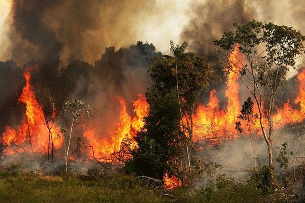 نمایی از آتش سوزی ارتفاعات روستای مانیان جهرم