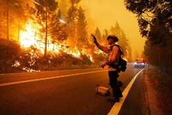 تلفات آتش سوزی های آمریکا به ۱۵ کشته و ۵۰۰ هزار بی خانمان رسید