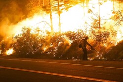 شمار قربانیان آتش سوزی های آمریکا به ۳۳ نفر رسید/ هشدار درباره سرایت حریق به سایر ایالت ها