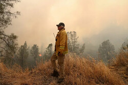 Emergency state in 5 counties of California due to wildfire