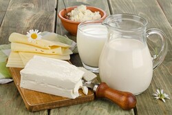 Iran’s annual dairy exports double to nearly $1 billion