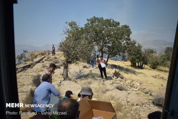 Extinguish of wildfire of Qaleh Sefid in S Iran
