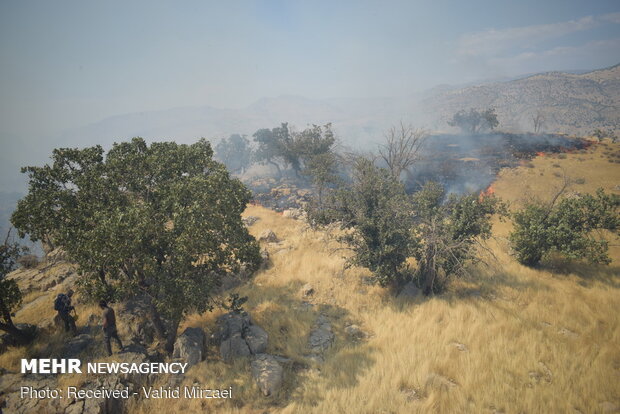 Extinguish of wildfire of Qaleh Sefid in S Iran
