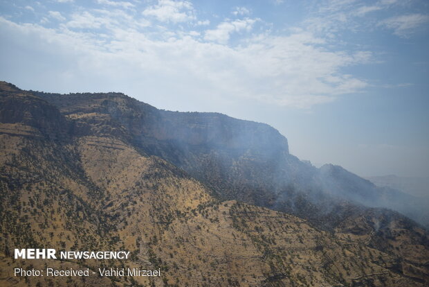 Extinguish of wildfire of Qaleh Sefid in S Iran
