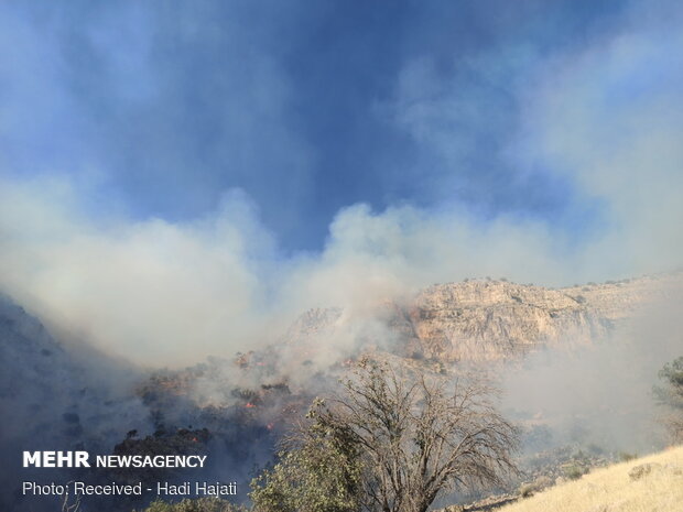 Extinguish of wildfire of Qaleh Sefid in S Iran
