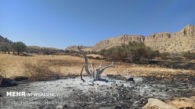 Extinguish of wildfire of Qaleh Sefid in S Iran
