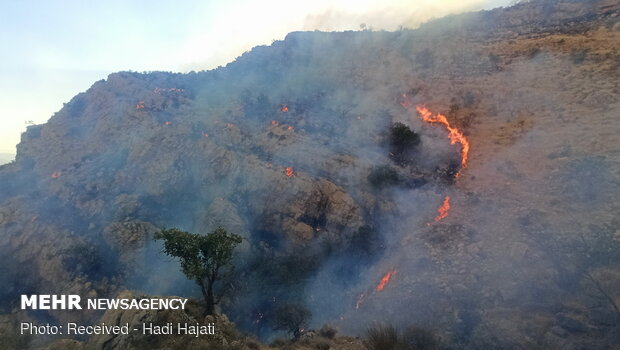 Extinguish of wildfire of Qaleh Sefid in S Iran
