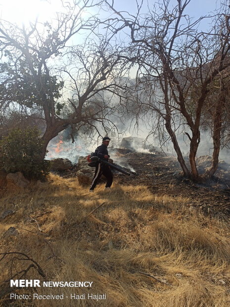 Extinguish of wildfire of Qaleh Sefid in S Iran

