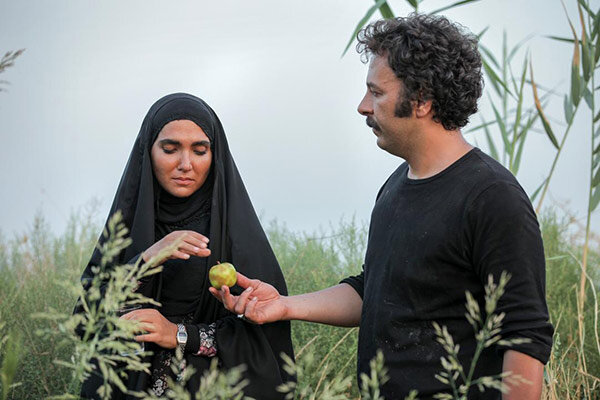 «نجلا» سریال پربیننده تلویزیون شد/ «بوم و بانو» در آخر فهرست