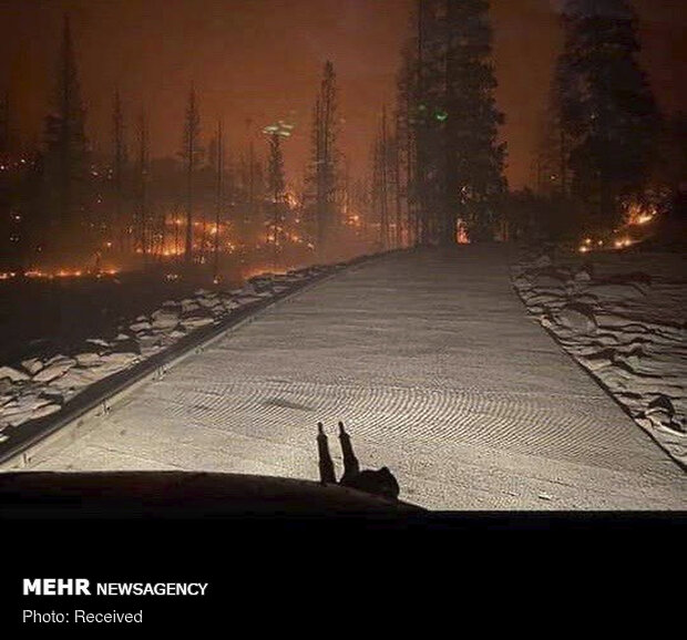 Kaliforniya’daki orman yangınları durmuyor