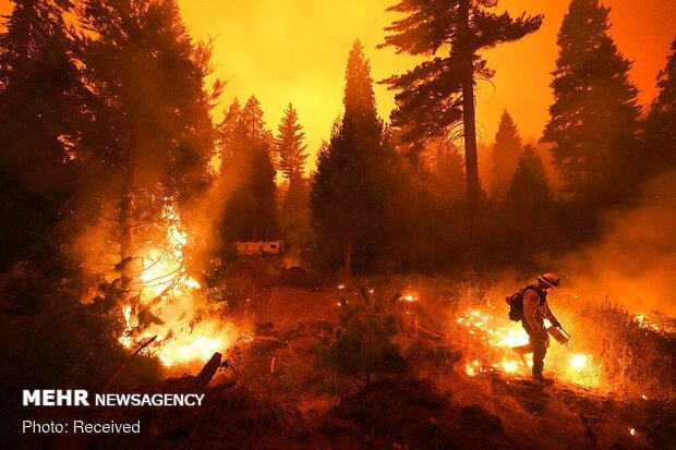 Kaliforniya’daki orman yangınları durmuyor