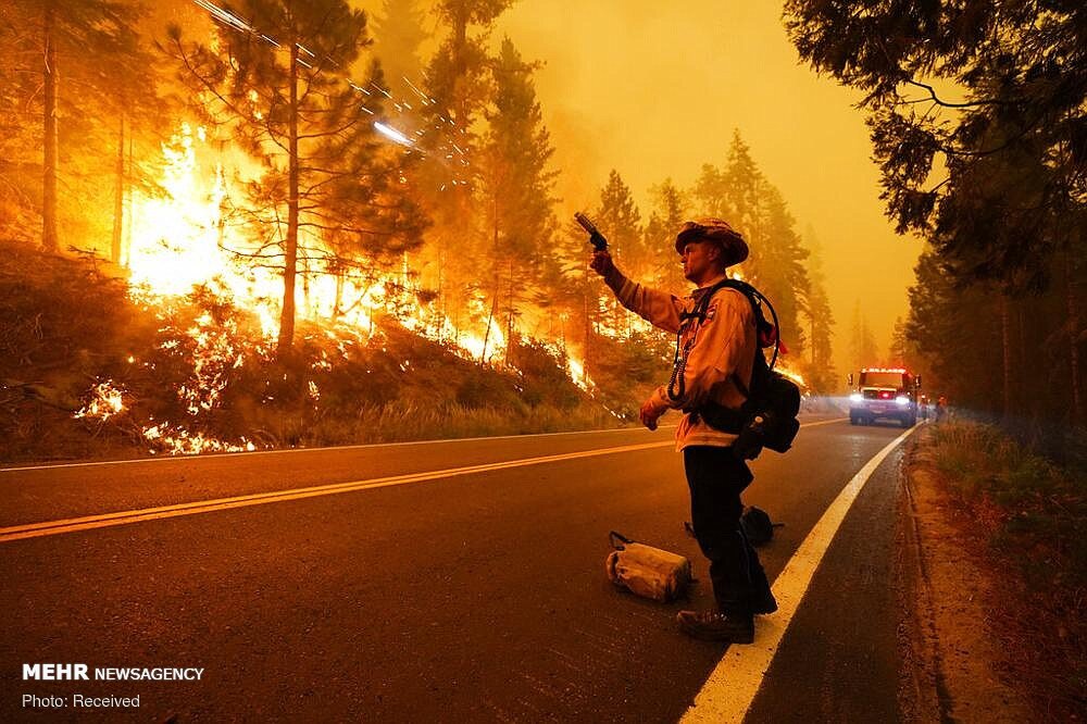امریکی جنگلات میں آگ لگانے میں ملوث 4 افراد گرفتار