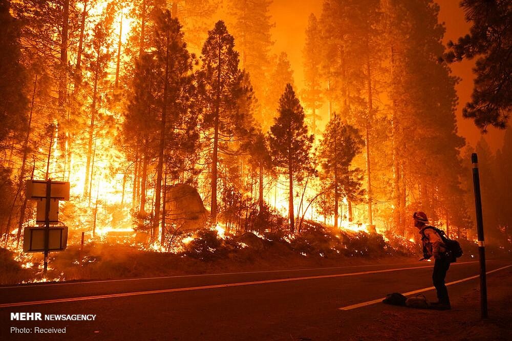 کیلیفورنیا کے جنگلات میں لگی آگ نے 22 ہزآر ایکڑ رقبہ کو اپنی لپیٹ میں لے لیا