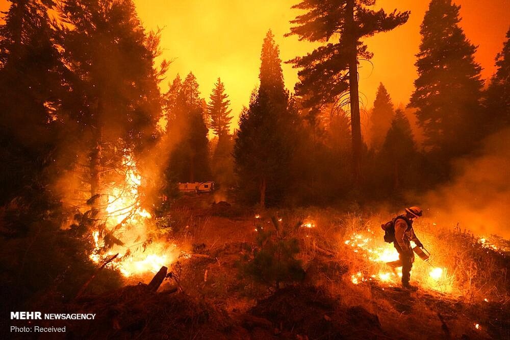 امریکی ریاستوں کیلی فورنیا، واشنگٹن اور اوریگون کے جنگلات میں آگ سے تباہی جاری