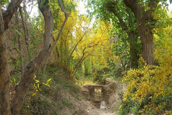 طرحی برای نجات باغ‌های شهر خشتی جهان