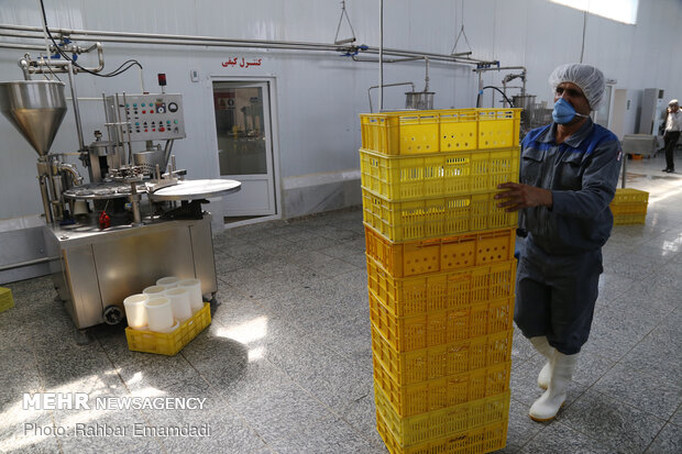 İran'daki süt ürürnleri fabrikasından fotoğraflar