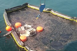 تکرار آلودگی‌های دریایی در نزدیکی خارگ/جزیره مرجانی در معرض تهدید