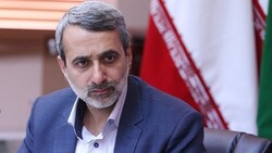 ایران تصمیم سیاسی خود را گرفته/  منافع مان درنظر گرفته شود توافق در دسترس است