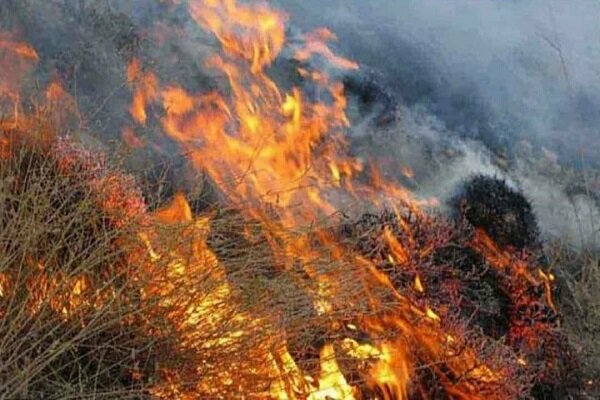 کاهش ۷۰ درصدی آتش سوزی در مزارع دهلران
