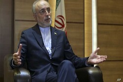 Salehi names countering US as path to protect multilateralism
