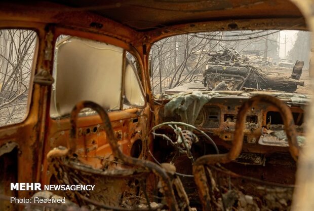 بحران آتش سوزی در آمریکا