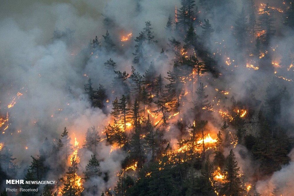 کیلیفورنیا کے جنگلات میں لگی آگ بے قابو