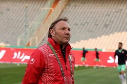 Stefano Cusin