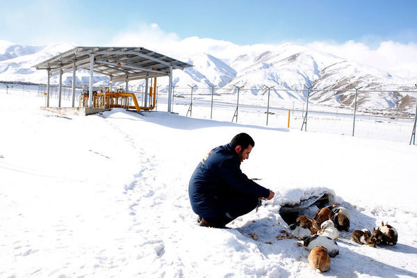 Gas industry mobilized for sustained supply in winter
