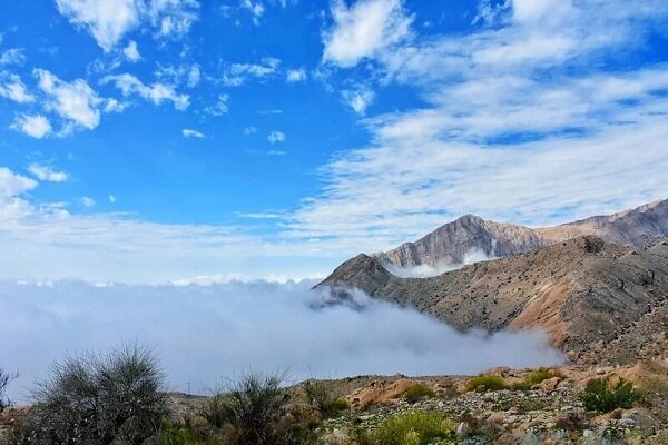 Geno Biosphere Reserve in south Iran has unique diversity