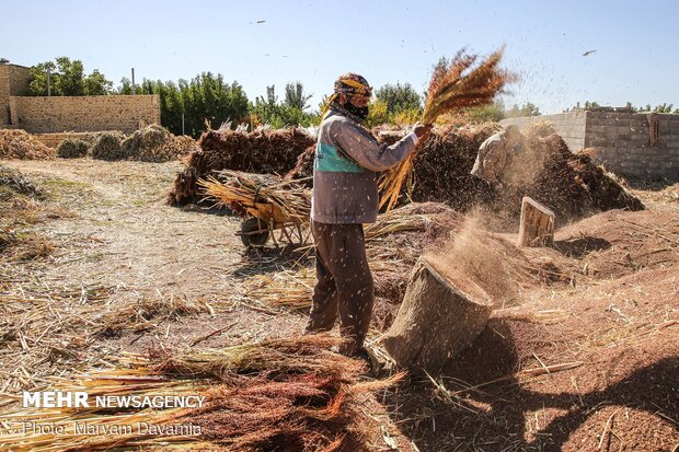 جاروبافی سنتی در روستای ملاحسن