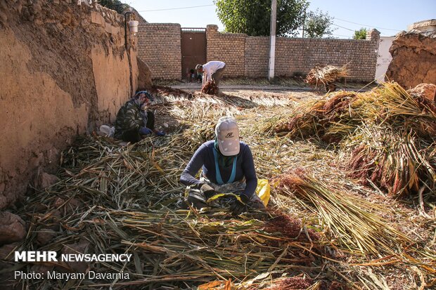 Traditional ‘Broom Weaving” in N Khorasan