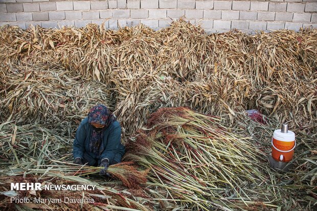 جاروبافی سنتی در روستای ملاحسن