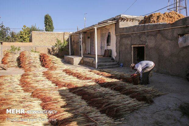 جاروبافی سنتی در روستای ملاحسن