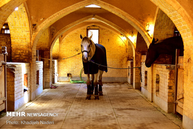 Horse Jumping Competitions held in Isfahan
