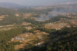 İzmir'de orman yangını