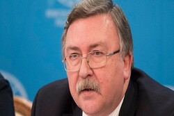 US irritated 'no country considers it as JCPOA participant'
