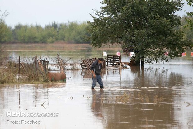 سیل کم سابقه در یونان