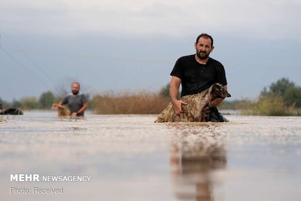 سیل کم سابقه در یونان