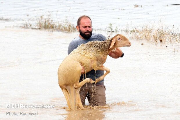 سیل کم سابقه در یونان