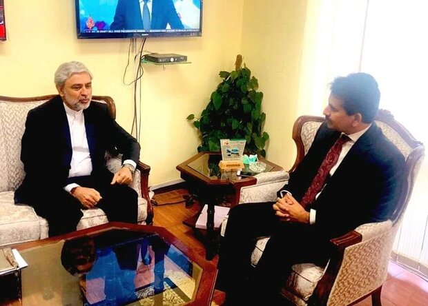 Tehran-Islamabad confer on development of common ties