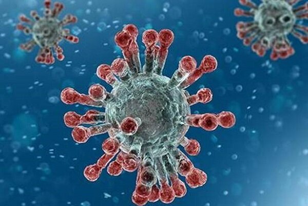 افزایش شمار فوتی‌ها و مبتلایان به ویروس کرونا در استان مرکزی