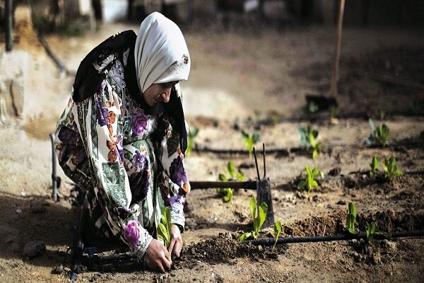 Iran discusses Covid-19 coop. at FAO Regional Conf.