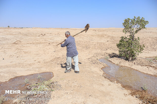 یک روز با پدر و مادر شهید در روستای رکن آباد