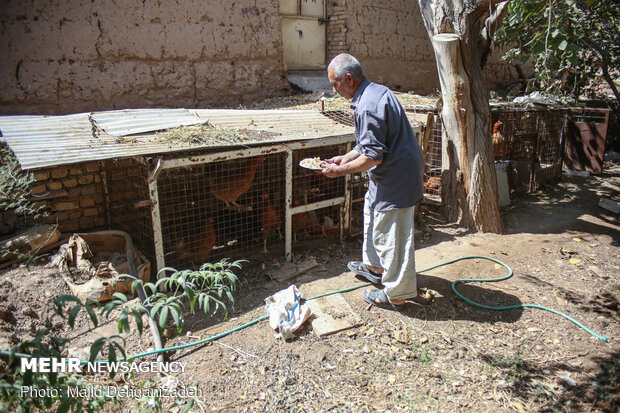 یک روز با پدر و مادر شهید در روستای رکن آباد