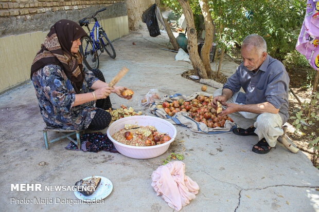 یک روز با پدر و مادر شهید در روستای رکن آباد