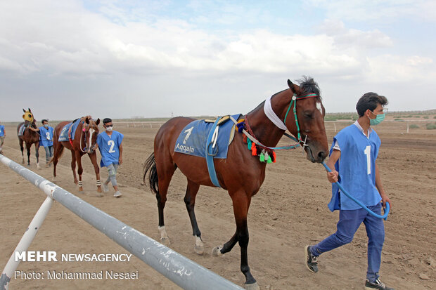 Horse racing competitions in N Iran