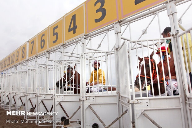 Horse racing competitions in N Iran