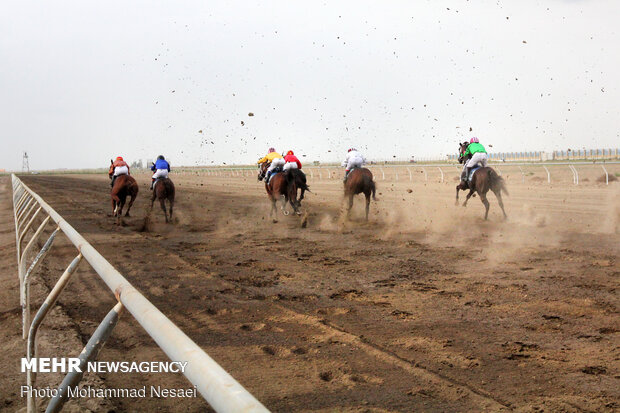 Horse racing competitions in N Iran