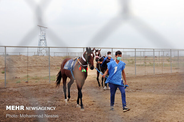 Horse racing competitions in N Iran