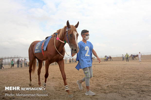 Horse racing competitions in N Iran